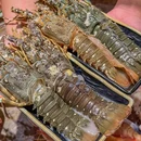 亚马逊环球美食百汇(LCM置汇旭辉广场店) - 上海市旅游 缩略图 5