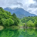 喇叭河风景区 - 雅安市旅游 缩略图 9