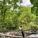 喇叭河风景区 - 雅安市旅游 缩略图 7