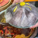火笼椒·鲜货火锅(上海首店) - 上海市旅游 缩略图 3