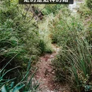 仙都国家级风景名胜区 - 丽水市旅游 缩略图 8