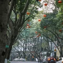 马鞍山堂里 - 重庆市旅游 缩略图 8
