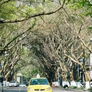 马鞍山堂里 - 重庆市旅游 缩略图 6