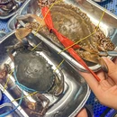 上海城隍庙 - 上海市旅游 缩略图 7