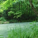 朱家湾林盘景区 - 成都市旅游 缩略图 3