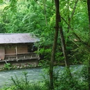 朱家湾林盘景区 - 成都市旅游 缩略图 7