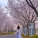 凤滁路 - 南京市旅游 缩略图 4