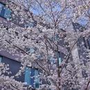 凤滁路 - 南京市旅游 缩略图 7