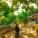 雪花漈瀑布 - 丽水市旅游 缩略图 6