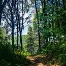 龙泉山风景区 - 武汉市旅游 缩略图 4