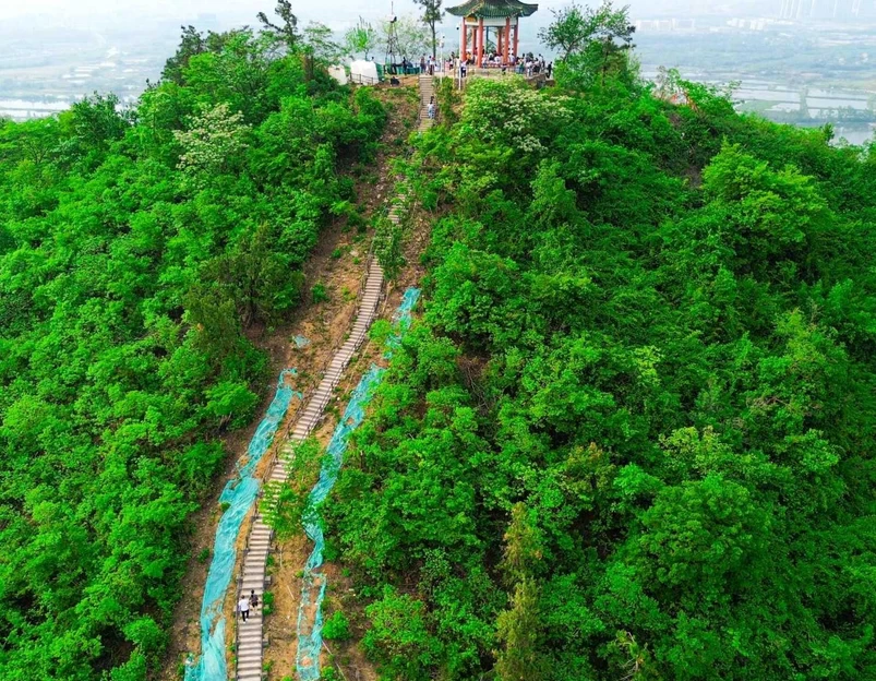 龙泉山风景区 - 武汉市旅游 1