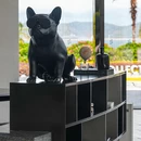 山海天傲途格 - 三亚市旅游 缩略图 6