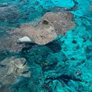 马尔代夫 - 其他旅游 缩略图 7