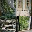 青城山三只猫森林温泉民宿 - 成都市旅游 缩略图 1