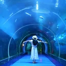 华夏城 - 威海市旅游 缩略图 9