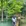 长沙市·大山冲森林公园