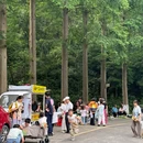 大山冲森林公园 - 长沙市旅游 缩略图 4