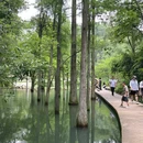 大山冲森林公园 - 长沙市旅游 缩略图 2