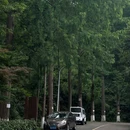 大山冲森林公园 - 长沙市旅游 缩略图 8