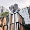 深圳湾公园 - 深圳市旅游 缩略图 8