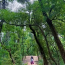 赫石坡 - 长沙市旅游 缩略图 5