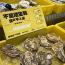 光谷广场 - 武汉市旅游 缩略图 4