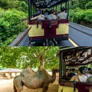 杭州野生动物世界 - 杭州市旅游 缩略图 5