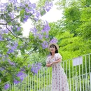 成都香格里拉 - 成都市旅游 缩略图 6