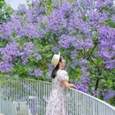 成都香格里拉 - 成都市旅游 缩略图 7