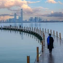 东沙湖生态公园 - 苏州市旅游 缩略图 3