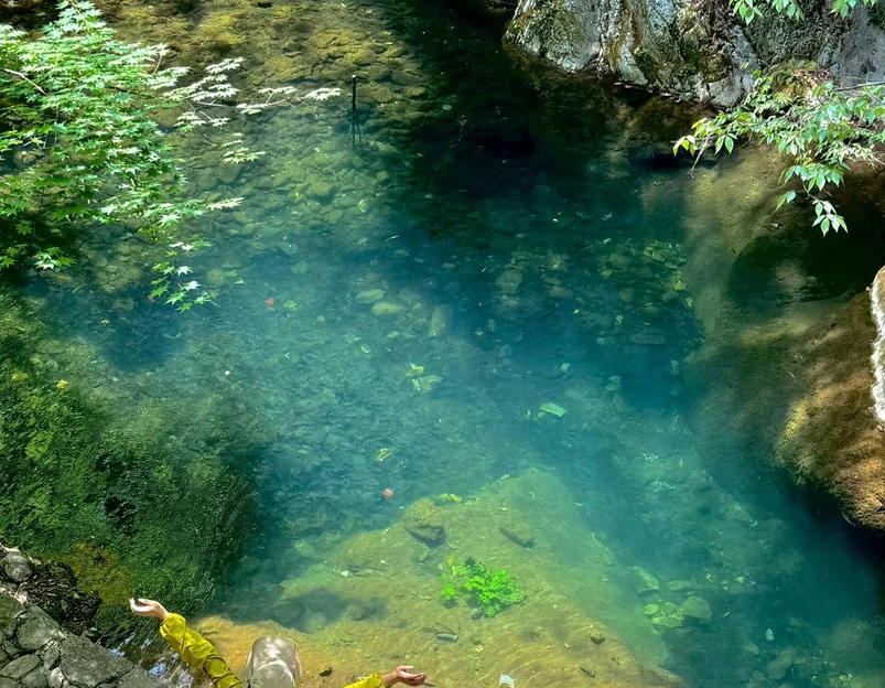 金丝峡景区北游客中心 - 商洛市旅游 1