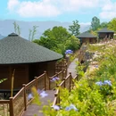 坎子瀑布 - 安康市旅游 缩略图 5
