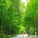 玉见山竹民宿 - 汉中市旅游 缩略图 1