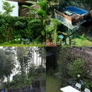 莫干山依山依水·设计师名宿 - 湖州市旅游 缩略图 5