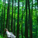 波尔登森林公园 - 信阳市旅游 缩略图 2