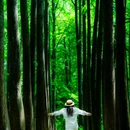 波尔登森林公园 - 信阳市旅游 缩略图 9