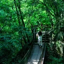 波尔登森林公园 - 信阳市旅游 缩略图 6