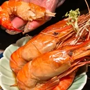 三酉星·嘉肴伴旨酒(三里屯店) - 北京市旅游 缩略图 1