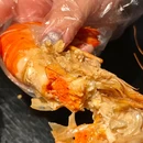 三酉星·嘉肴伴旨酒(三里屯店) - 北京市旅游 缩略图 2