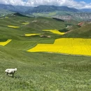卓尔山风景区 - 海北藏族自治州旅游 缩略图 4