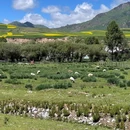 卓尔山风景区 - 海北藏族自治州旅游 缩略图 5