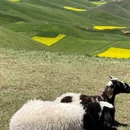 卓尔山风景区 - 海北藏族自治州旅游 缩略图 2