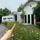 紫金山 - 南京市旅游 缩略图 9