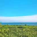 合肥滨湖国家森林公园 - 合肥市旅游 缩略图 3