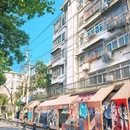 红星路 - 合肥市旅游 缩略图 2
