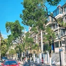 红星路 - 合肥市旅游 缩略图 3