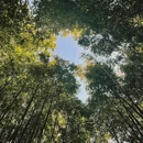 泰安普照寺 - 泰安旅游 缩略图 3