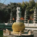 泰安普照寺 - 泰安旅游 缩略图 6