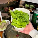 羊城美食·粤菜鸡煲(工体店) - 北京市旅游 缩略图 9
