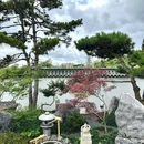 稀客四季宴 - 深圳市旅游 缩略图 6